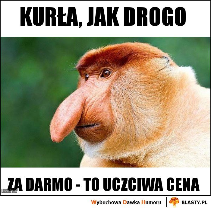 kurla-jak-drogo_2020-04-22_13-55-24.jpg