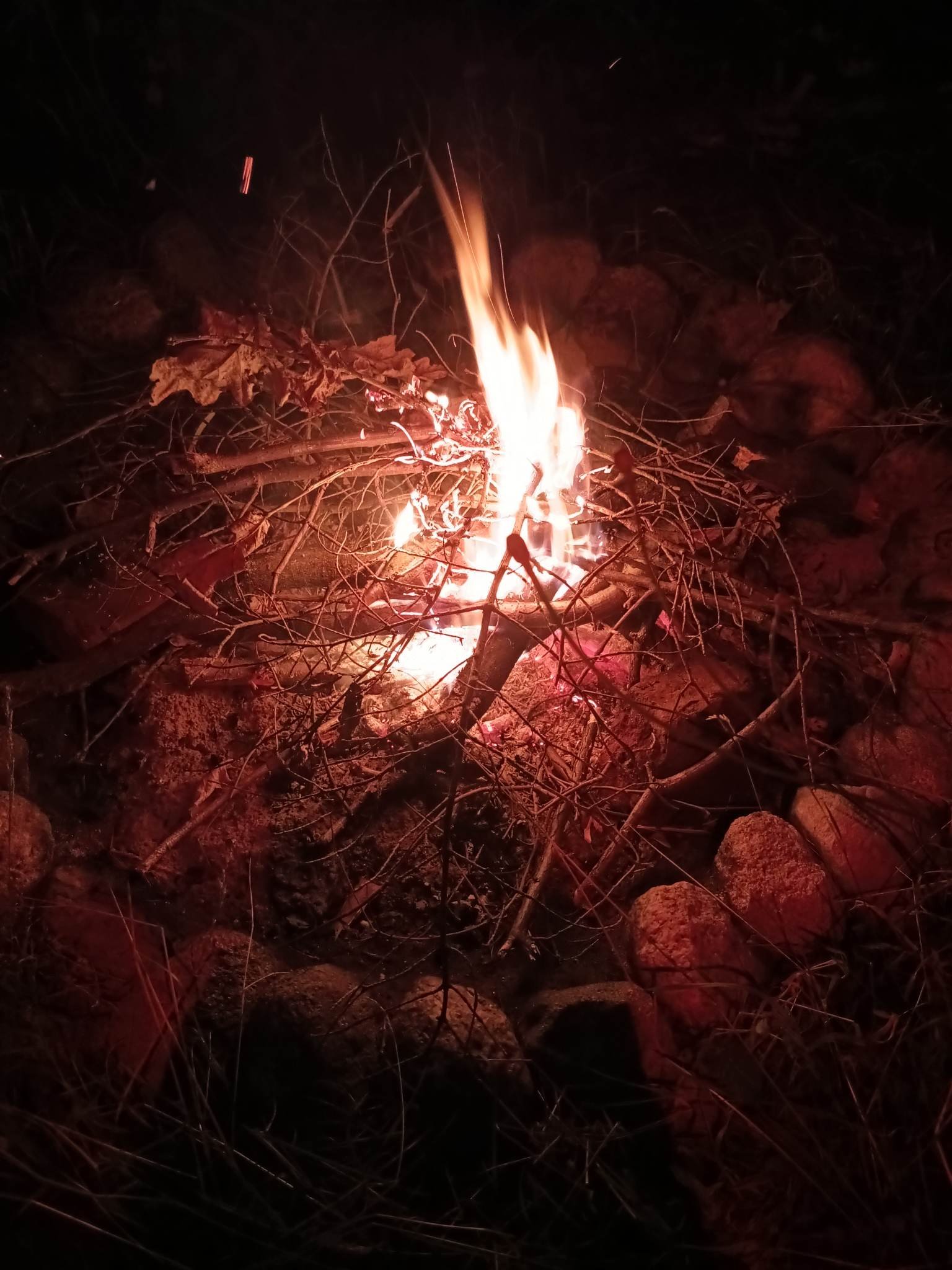 356582876_3470607323182298_6000573465533291092_n (1).jpg