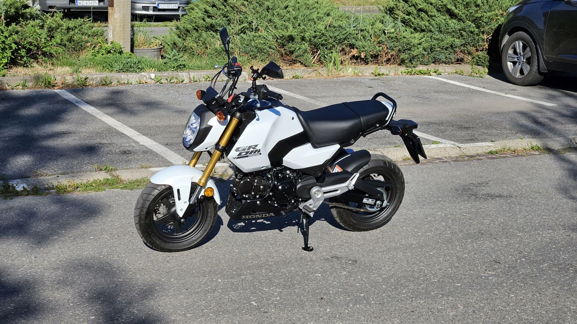 Moja Honda MSX125 Grom (1).jpg
