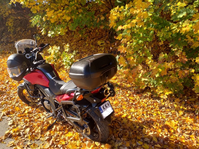 20191020_104253.jpg